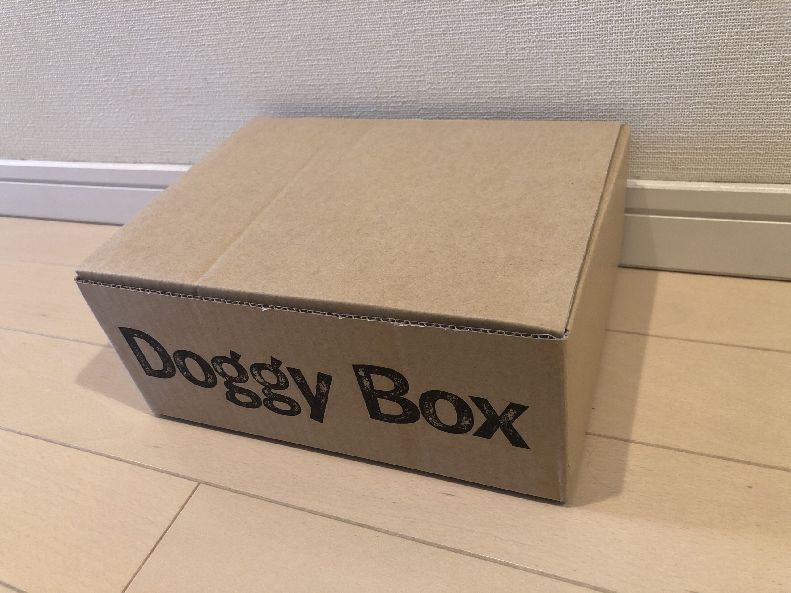 goggy box05